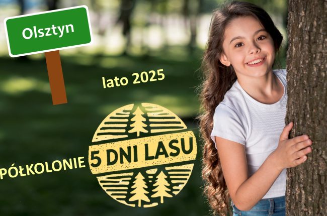Olsztyn2
