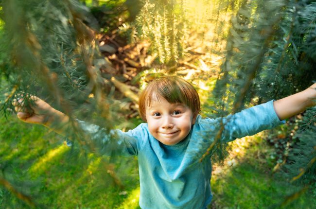 Portrait of a happy little boy playing in hide and seek in a park,  child pushing the branches of a tree and smiling, looking at the camera. Closeness to nature.