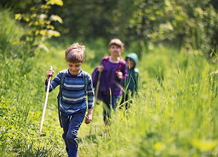 Three kids hiking in forest on a sunny spring day. Kids are walking on a path. There are wearing backpacks and holding sticks. Beautiful fresh green nature is surrounding them.