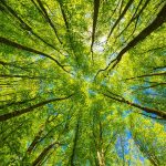 tfd_banner_home_1280(1)